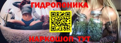 2c-b Славянск-на-Кубани