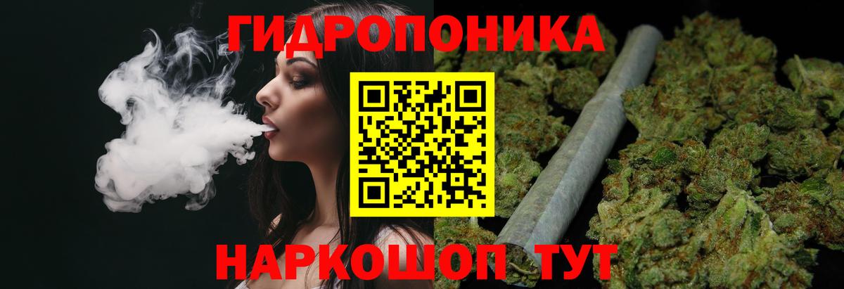 Бошки Шишки SATIVA & INDICA Новодвинск